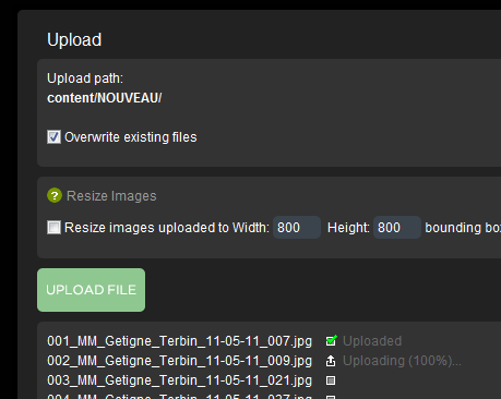 ImageVueX_2011-06-28_Upload_V1.png