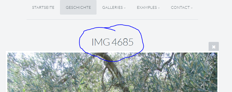 BildBezeichnung.PNG