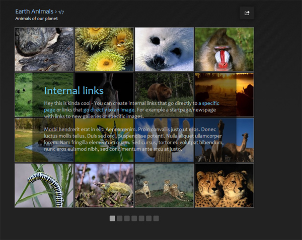 imagevue_bug_x26beta2.jpg
