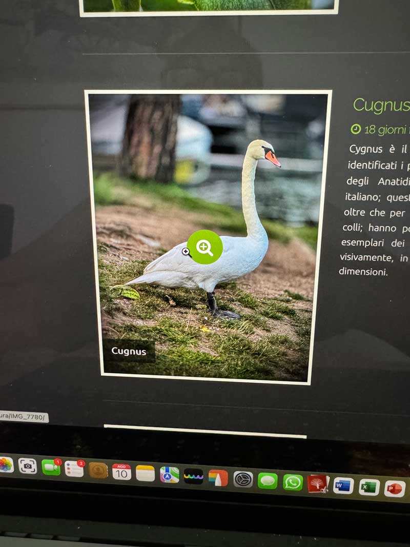 lente.jpg