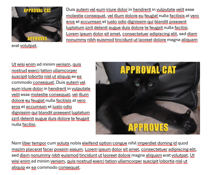 2025-07-24 09_32_05-Dokument1 - Word.png