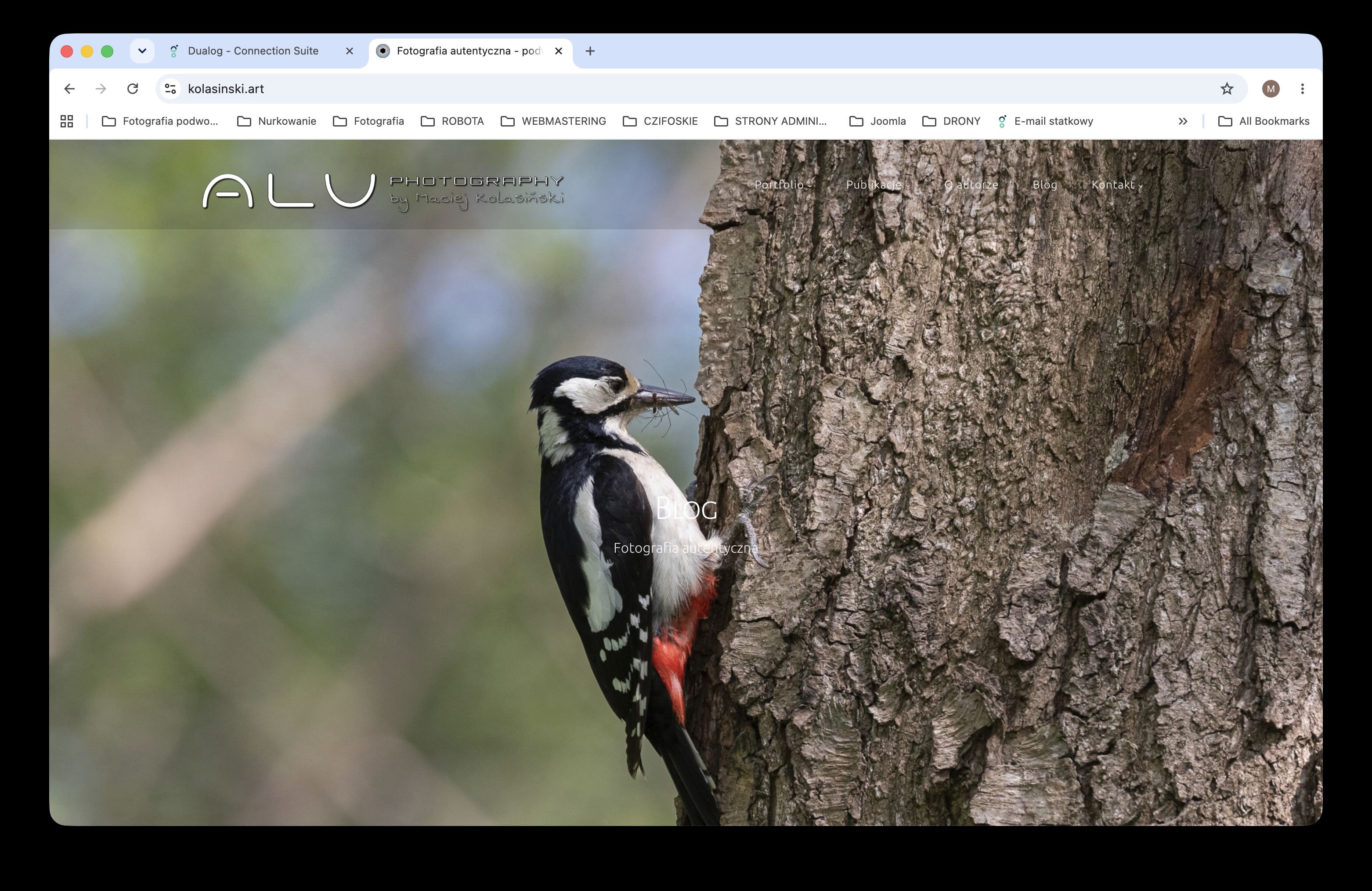 Chrome_mac.jpg