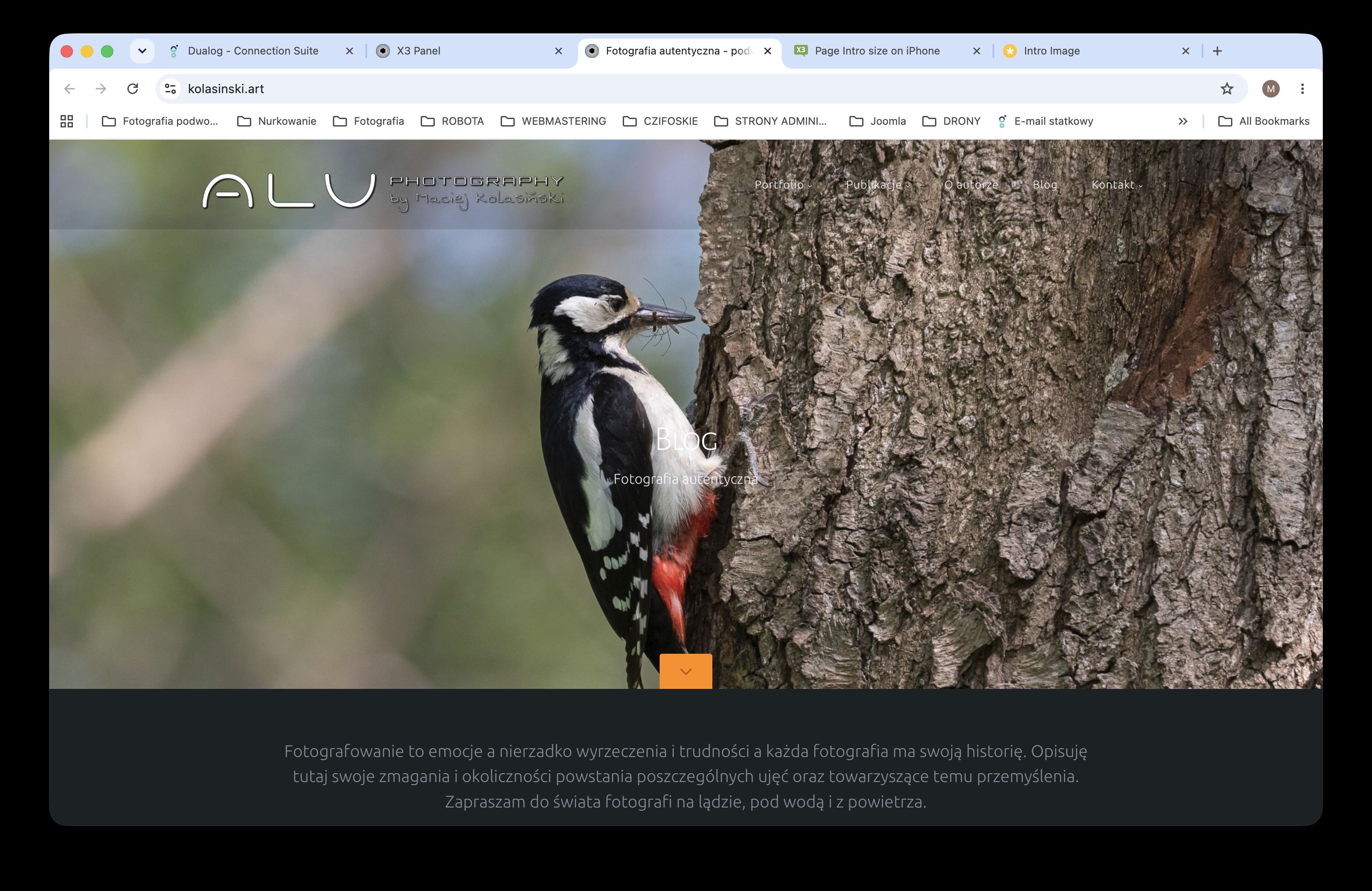 Crome_desktop_80.jpg