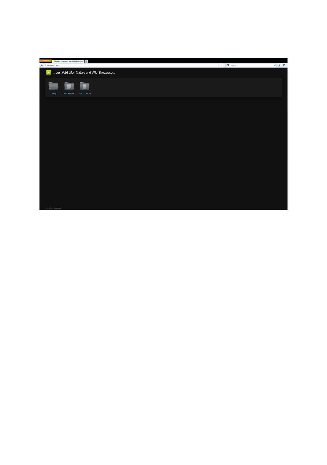 firefox-error.jpg