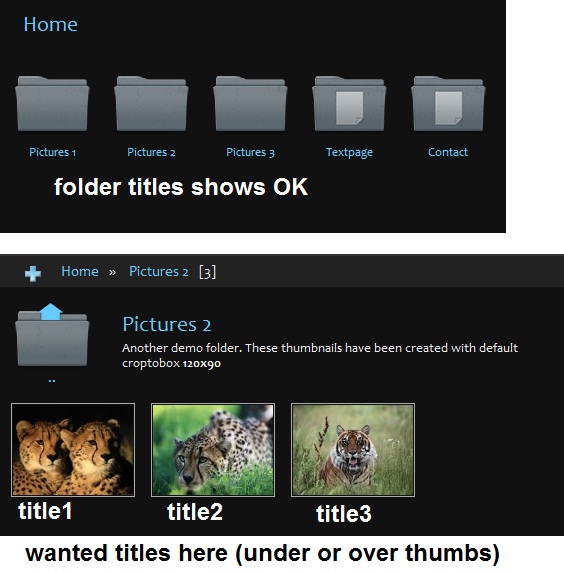 thumbs titles.jpg