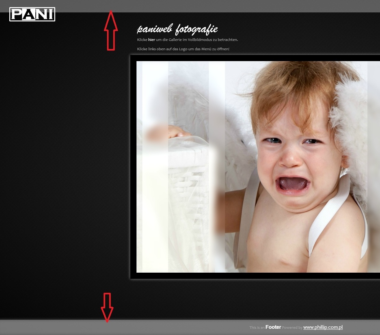grey_header_footer1.jpg