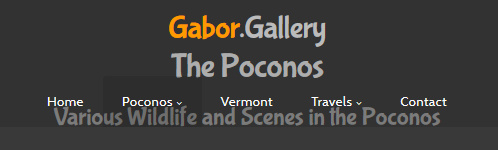 fadeon.jpg